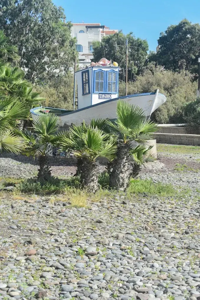 Entorno natural con palmeras